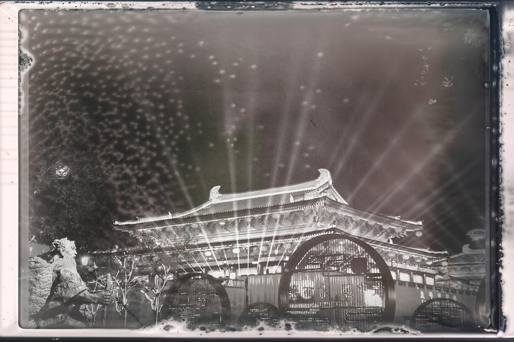 BW EMULSION - Expired BW Pola Film Vol 01