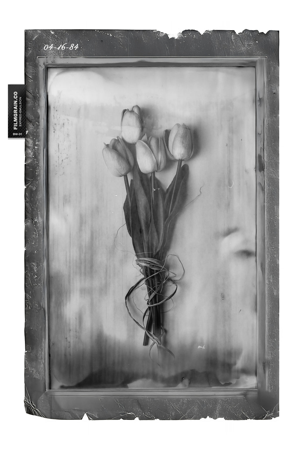 BW EMULSION - Expired BW Pola Film Vol 01