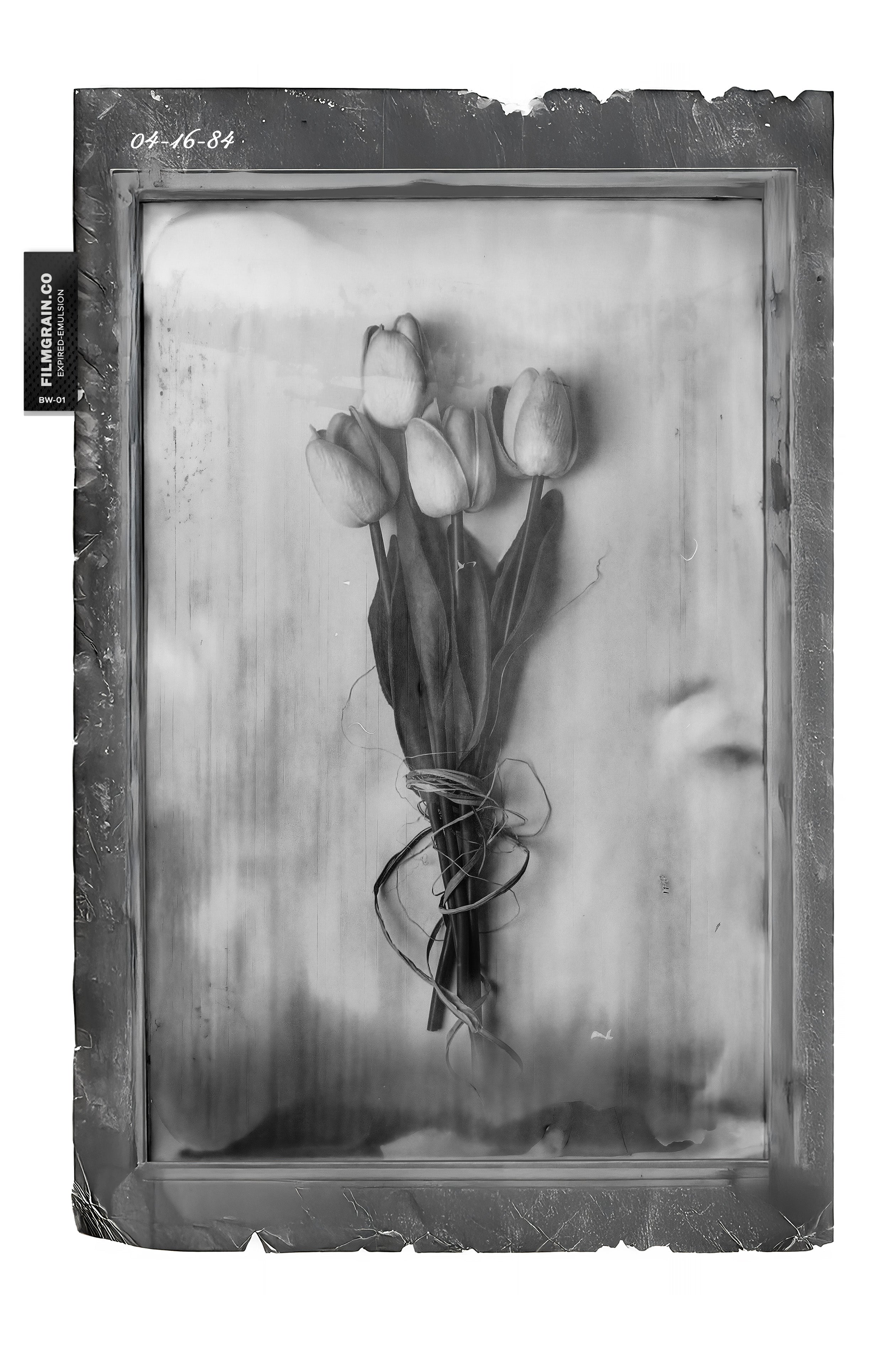 BW EMULSION - Expired BW Pola Film Vol 01